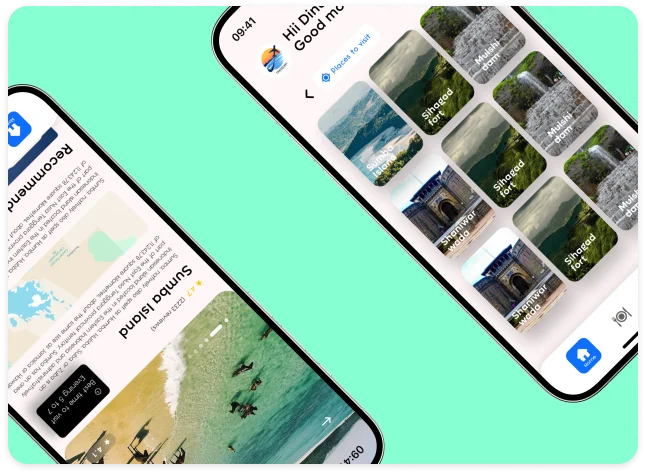 About the project